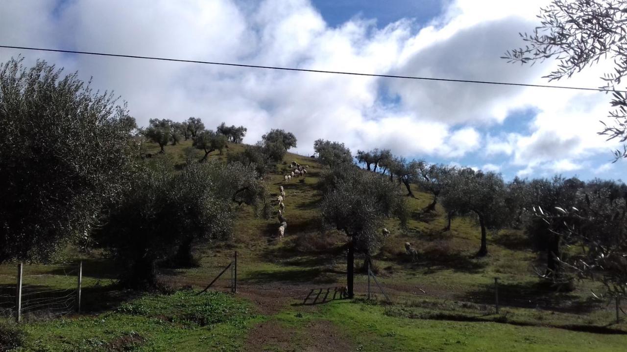 Finca La Carnicera Constantina Exterior foto