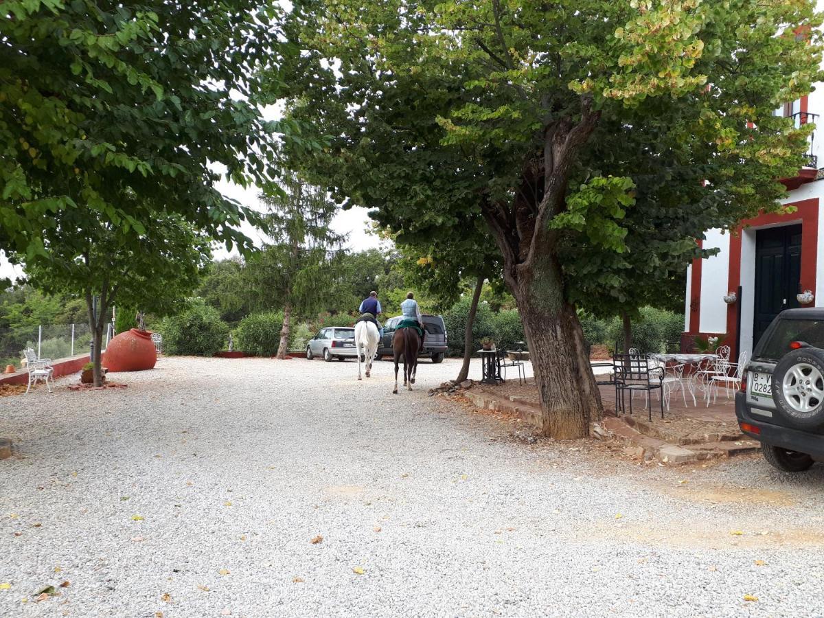 Finca La Carnicera Constantina Exterior foto